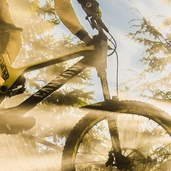 Meet your Posher, Ben - Picture 1 of 1